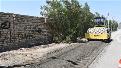 أخبار الفيوم اليوم: إطلاق مبادرة أشجار بلا كوارث.. وتنفيذ٧٢ مشروعا لرصف الطرق والشوارع الجانبية 