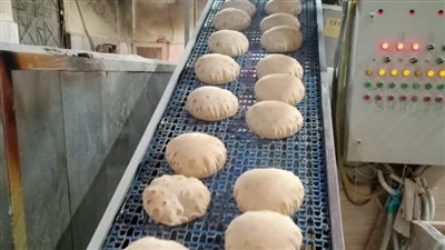 حملات مكثفة تصادر 11 طن أعلاف وسماد وتحرر 127 محضرا في الدقهلية | صور