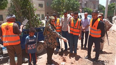 رئيس مدينة الأقصر يتفقد أعمال تشجير ميدان العوامية بمنطقة حي جنوب