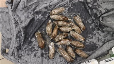 إحباط محاولة تهريب مخدر الحشيش وأدوية بشرية وشعر طبيعي