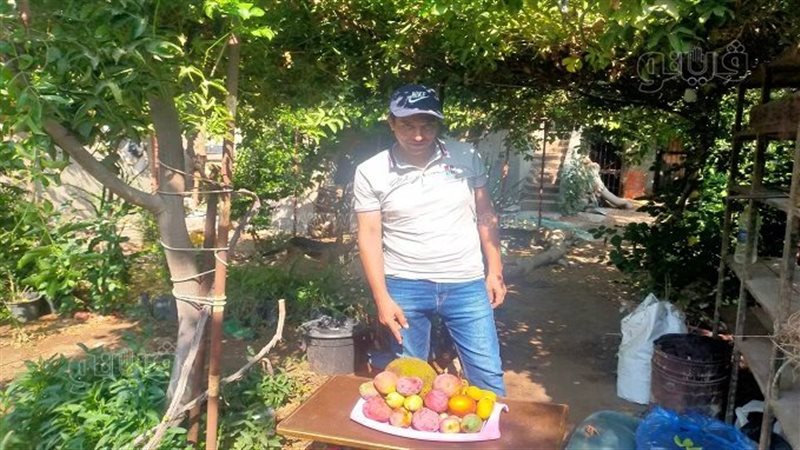 فيتو داخل مملكة الفواكة