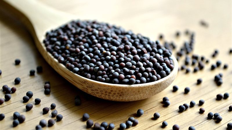 تفسير رؤية بذور الخردل