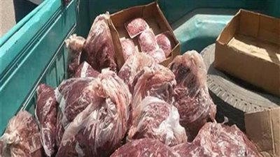 مصادرة 5 أطنان لحوم مجمدة فاسدة داخل ثلاجة بالقاهرة
