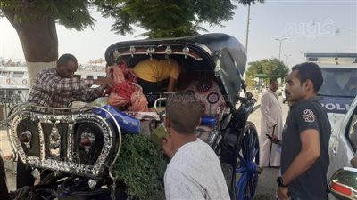 ضبط 4 عربات حنطور مخالفة وثبوت تعاطى أحد سائقيها للمخدرات في أسوان (صور)