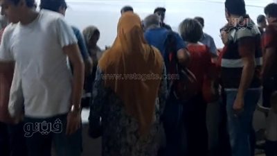 ختام مهرجان المانجو الإسماعيلاوي.. أتوبيسات تنقل المواطنين لشراء ملكة الصيف | فيديو