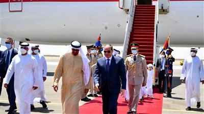  السيسي وبن زايد يؤكدان أهمية توحيد الجهود الرامية للتوصل إلى حلول دائمة للأزمات في دول المنطقة