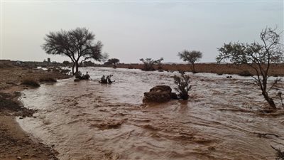فتح طريق الحسنة - نخل بعد انحصار السيول في الوديان