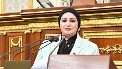 سولاف درويش: مصر تجني ثمار قوة القيادة السياسية في إدارة السياسات الخارجية