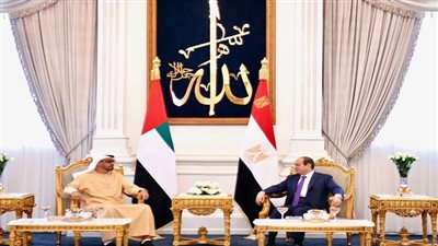 السيسي وبن زايد يؤكدان أهمية حماية أمن وسيادة السودان وليبيا واليمن والصومال