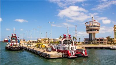 تداول 25 سفينة بضائع متنوعة داخل ميناء دمياط