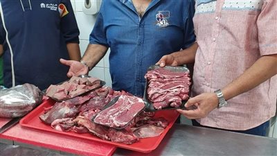 ضبط كميات لحوم فاسدة في مطعم شهير بالجيزة| صور