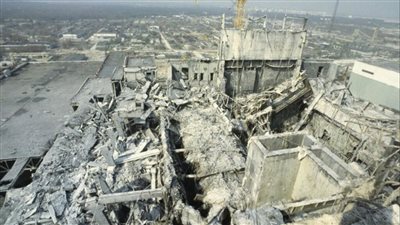 العثور على فطر مشع في ألمانيا بعد عقود من كارثة تشيرنوبل