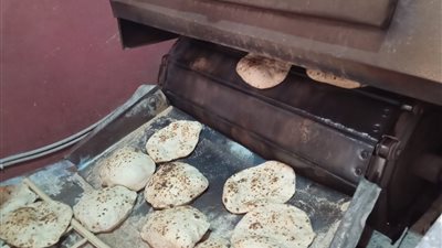 حملات تموينية مكبرة على المخابز تحرر 93 محضرا بالدقهلية