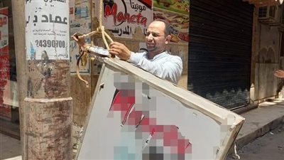 إزالة الإعلانات العشوائية وغير المرخصة في الدقهلية 