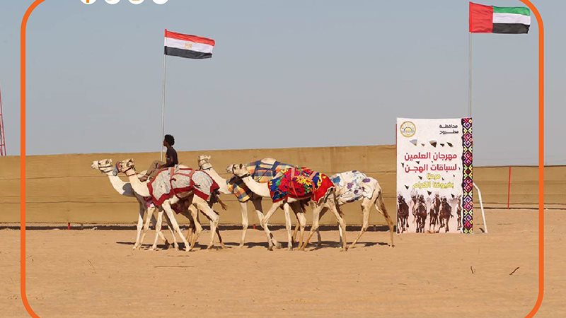 ارشيفية