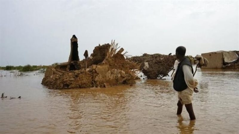 سيول السودان