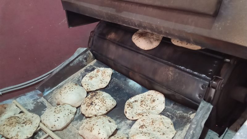 حملات تموينية بالدقهلية