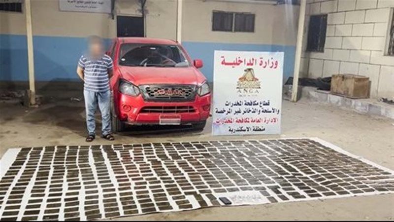 مخدر الحشيش 