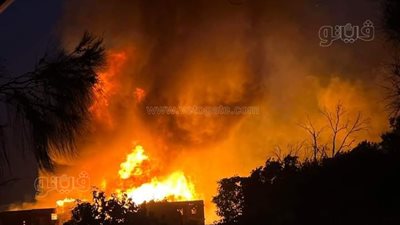 سكرتير محافظ الجيزة والنائب يتفقدان موقع حريق استديو أبو النمرس| صور