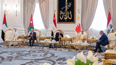  قرقاش: لقاء العلمين يؤسس لمرحلة عربية عنوانها التكاتف لحماية المنطقة