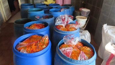 العثور على 255 طن مخللات فاسدة داخل مصنعين بدون ترخيص بالقليوبية | صور