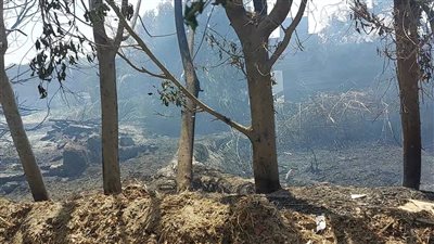 7 صور ترصد آثار حريق شبرامنت بالجيزة 