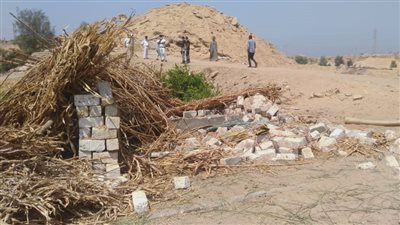 الموجة 20.. إزالة 47 حالة تعد على 56 فدان أراض زراعية بأسيوط