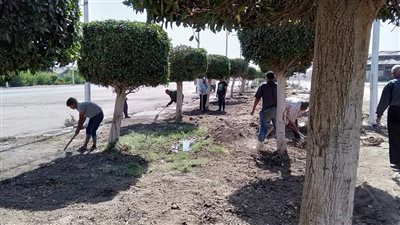 9 صور ترصد تطهير وتنظيف سوق الجملة في أكتوبر | صور