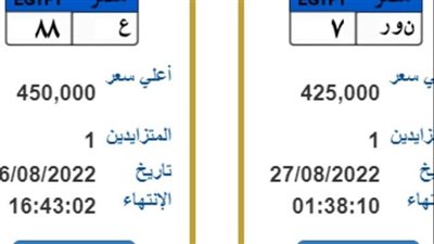 تصل إلى 200 ألف جنيه.. تعرف على أسعار لوحات السيارات المعدنية