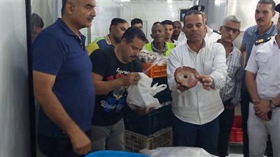 ضبط طن لحوم فاسدة في مخزن غير مرخص بالدقي| صور