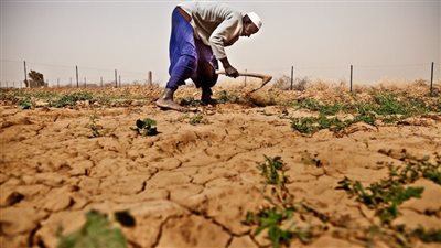 إعادة اكتشاف القارة السمراء.. خطة مصرية للتوسع في زراعة المحاصيل الزراعية بأفريقيا