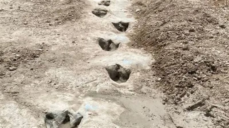 اكتشاف آثار ديناصورات