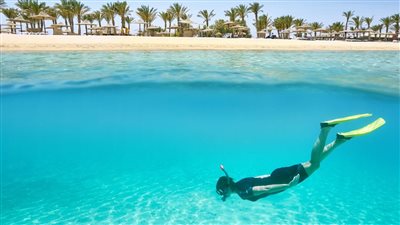 صحيفة إيطالية: مرسى علم جنة تحت الماء يجب استكشافها 