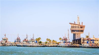 تداول ٢٩ سفينة بضائع متنوعة داخل ميناء دمياط 