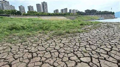 قطع الطرق بروث المواشي.. احتجاجات للمزارعين الفرنسيين ضد قرارات الحكومة | فيديو