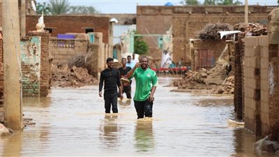 السيول تدمر المحاصيل وتهدم المنازل في ولاية الجزيرة السودانية | فيديو