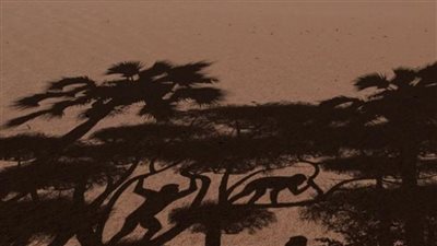 دراسة تكشف عن أقدم مخلوق بشري على الأرض 