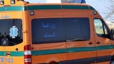 كان بيصلح موتور منزله.. مصرع ستيني صعقا بالكهرباء في الدقهلية