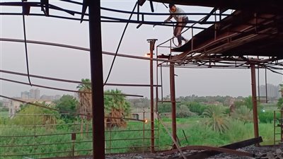 إزالة تندة باخرة الجهاز المركزي للمحاسبات بجنوب الجيزة| صور