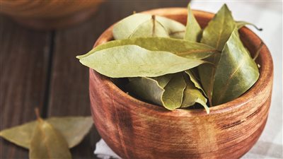 فوائد ورق اللورا للشعر، يقويه وينعمه