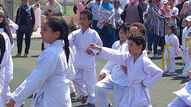أختبارات الكارتية