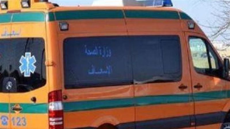 مصرع ستيني صعقا بالكهرباء