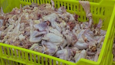 حملة لشرطة المسطحات تصادر 71 طن مواد غذائية غير صالحة بالشرقية |صور 