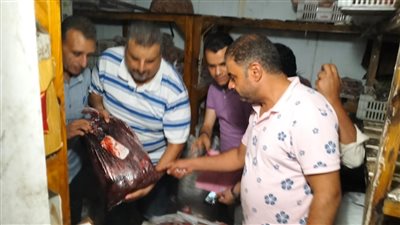 ضبط أطنان لحوم وأسماك غير صالحة للاستهلاك الآدمي فى حملة تموينية بالدقهلية