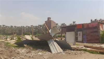 إزالة تعديات ومخالفات بناء على مساحة 1000م بالحوامدية| صور