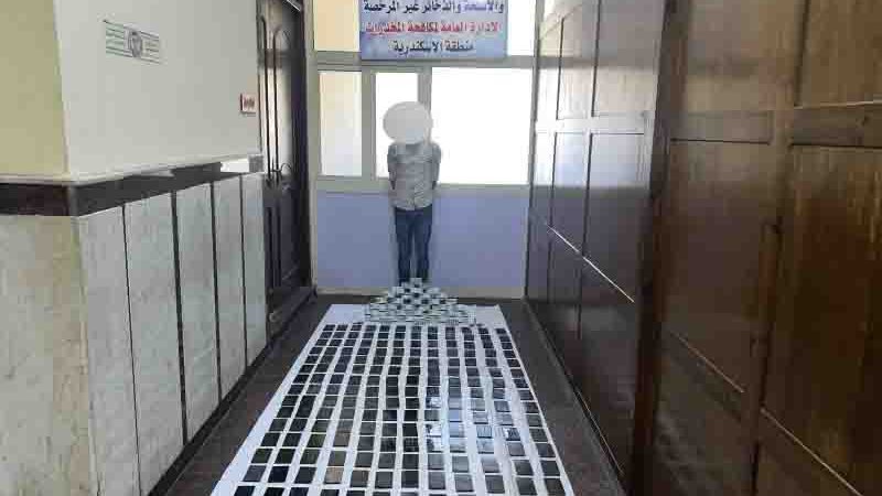 مخدر الحشيش 