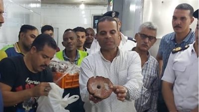 ضبط طن لحوم وشاورما وكفتة غير صالحة بمخزن إعداد وتوزيع بحي الدقي.. فيديو