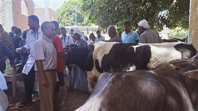 تنظيم 6 قوافل بيطرية بقرى حياة كريمة بأسيوط|صور 