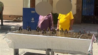 بـ1.7 مليون جنيه.. إحباط تهريب 240 طربة حشيش بمخازن سرية داخل سيارة