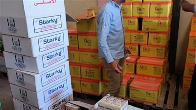 حملات علي محلات قطع غيار وإكسسوار السيارات بالإسكندرية